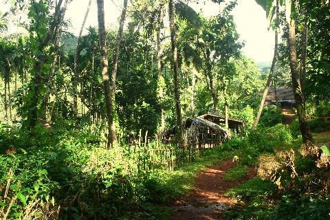 Goa in Pictures - Download Goa Photos